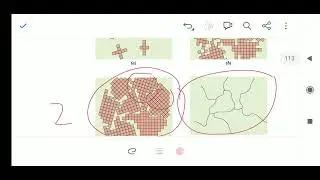 Single Crystal and polycrystal Materials