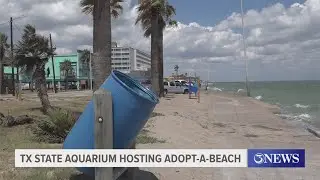Texas State Aquarium invites volunteers to Adopt-a-Beach on September 20
