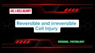 REVERSIBLE AND IRREVERSIBLE CELL INJURY (Part 02)  | Gen Patho CH 01