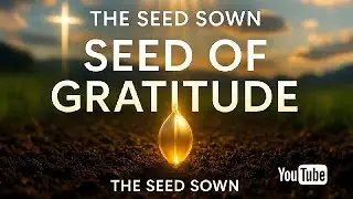 A Seed of Gratitude That Transforms Your Life | Biblical