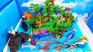 Изучайте морских и сухопутных животных с помощью волшебных живых игрушек &mdash; диорама своими руками ...