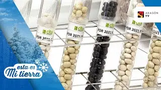 El CITA recupera las semillas de Embún
