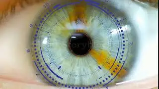 Eye Hud | After Effects Animation | Video Editing | BXALEEM