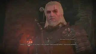 The Witcher 3: Wild Hunt In the Eternal Fire's Shadow - Best Ending
