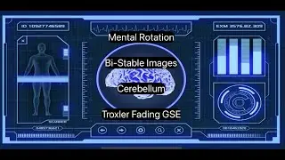 The Simple Mental Rotation App Suite. Tools to assist balance rehabilitation and postural stability.