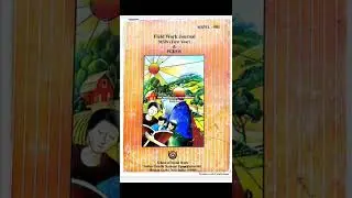 MSWL 01 | Field Work Journal | PDF available on WhatsApp no 9971218860.