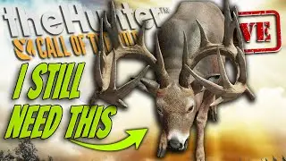 Can We PLEASE get The Typical Rack Great One Whitetail Deer?!? More Hunts After? Call of the wild