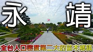 【冷門地區一日遊】本島人口密度第二大的鄉｜居然在永靖看到李多慧🥰｜有超多美食的永靖老街百年前不在這？這次來苗木之鄉尋找【菊花不夜城】！！！【冠哥帶冠嫂去玩】