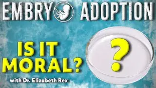 Объяснение усыновления эмбриона: моральные вопросы, которые должен понимать каждый католик