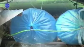 Energi Alternatif Pedesaan Biogas