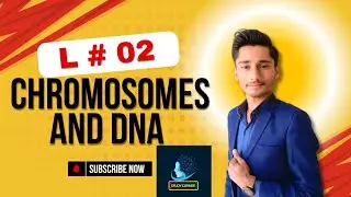 Chromosomes lecture no : 2 | Chromosomes and DNA | Structure of chromosomes| Parts of Chromosomes