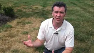 What is Summer Stress on Your Lawn? with Phil, Scotts Associate