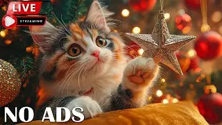 12 Hours of Cat Relaxation Music 🎄 Holiday Calm & Cozy Vibes ✨ Help Cats Feel Safe and Sleep Better