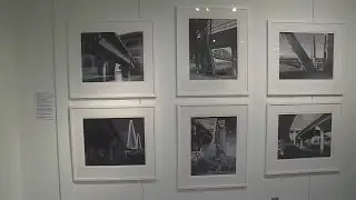 Art exhibit at Lambert Airport captures St. Louis area architecture