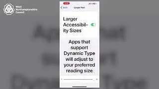How to change the visual display settings on an iPhone