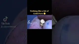 Gold Porn.               #detecting #gold #goldhunter #gpx6000 #prospecting #jungle #minelab #nugget