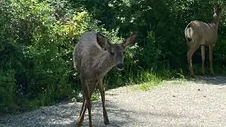 Kalamalka Lake Provincial Park, Vernon, BC