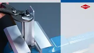 Клещи переставные гаечный ключ RAPTOR 87 41 250