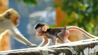 DeeDeee allowed her son to follow Jassoon so Jasoon really want to huggg but collapsed together