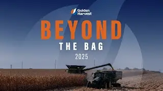 Beyond the Bag 2025: The Results We Built Together | Golden Harvest Seeds