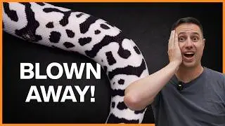 The Craziest Black and White Ball Python YET!