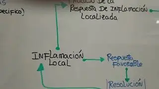 Fisiopatología de la sepsis (parte 1)