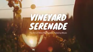 Relaxing music | Vineyard Serenade | The Art of Wine Making with Relaxing Music