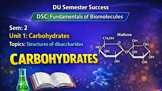 Structure of disaccharides | fundamentals of biomolecules | bsc sem 2 DU 