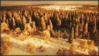 Winter in de Hoge Venen 4K