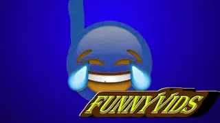 How to Laugh At My Tangy Tunes Funny Videos