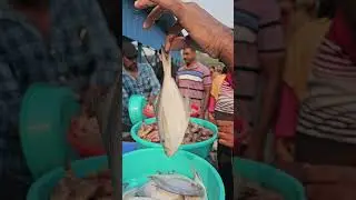 Spiny lobster 😱||pomfret fish || tiger Prawns 🦐 ||#NaniVlogs04 #YouTubeshort #vlogs #seafood