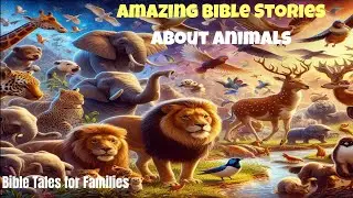 🐘🌈 Amazing Bible Stories About Animals! 🐠🦁