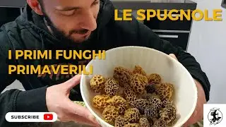Morchelle o spugnole: i primi funghi primaverili 🍄