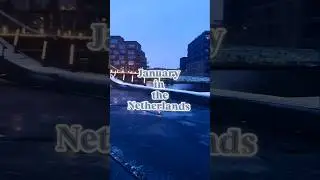 This is January in the #Netherlands. #visitholland #travel #youtubeshorts