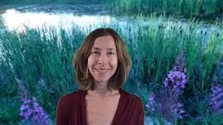 Taurus March 2016 Horoscope/Astrology Forecast - New Beginnings!