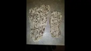 VERY CLEAR BIGFOOT PRINT WITH DERMAL RIDGES!