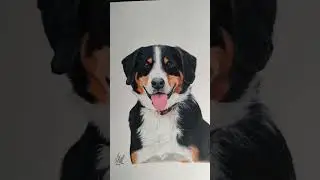 #shorts #dog #drawing #hyperrealism #art #realistic #pets #coloredpencils #furry #animals #artist