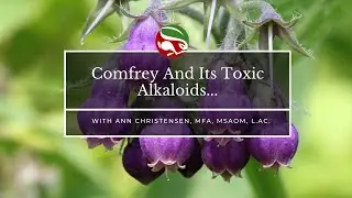 Comfrey And Its Toxic Alkaloids...