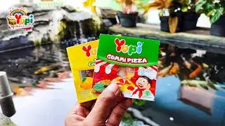 BERBURU HARTA KARUN YUPI DI KOLAM IKAN HIAS ! Mencari Harta Karun Yupi, Lollipop, Yupi Dino Land