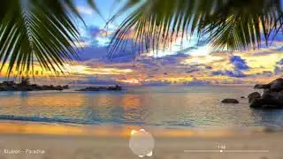 Illusion   Paradise