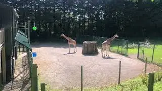 Blackpool Zoo 2023