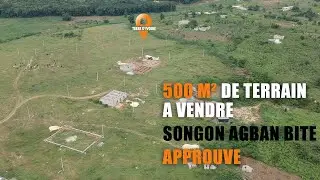 SONGON AGBAN BITE