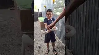 Little Explorer's Python Adventure! 🐍