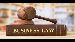 Lesson 1: Business Law (Key Concepts & Definitions)