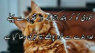 kinemaster Urdu fonts/From this video
