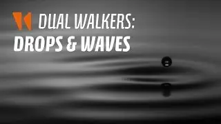 Dual walkers: drops and waves