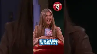 Best of friends #5 : Rachel's Sphinx cat 😂 #friends #nostalgia #sitcom #90s  #series #wewereonabreak