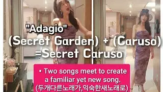 SecretGarden(Adagio) +Caruso= ♡Secret Caruso(비밀의 카루소)《 두개 노래가  새노래로\Two songs in new one》