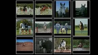 FastJAM: a Fast Joint Alignment Model for Images  (Neurips 2025)