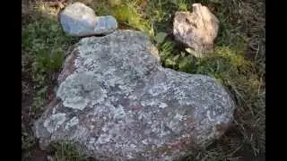 Retiros de Meditaci&oacute;n y Calidad de Vida  NATURALEZA TAI